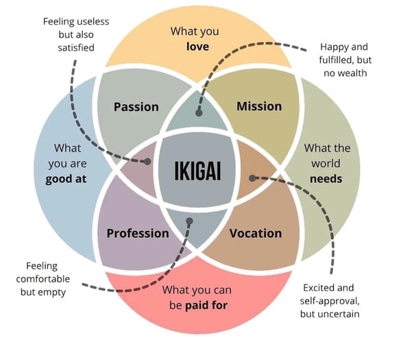 Ikigai, 4 Quadrants from the Q Coach philosophy